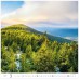 forest h171 003